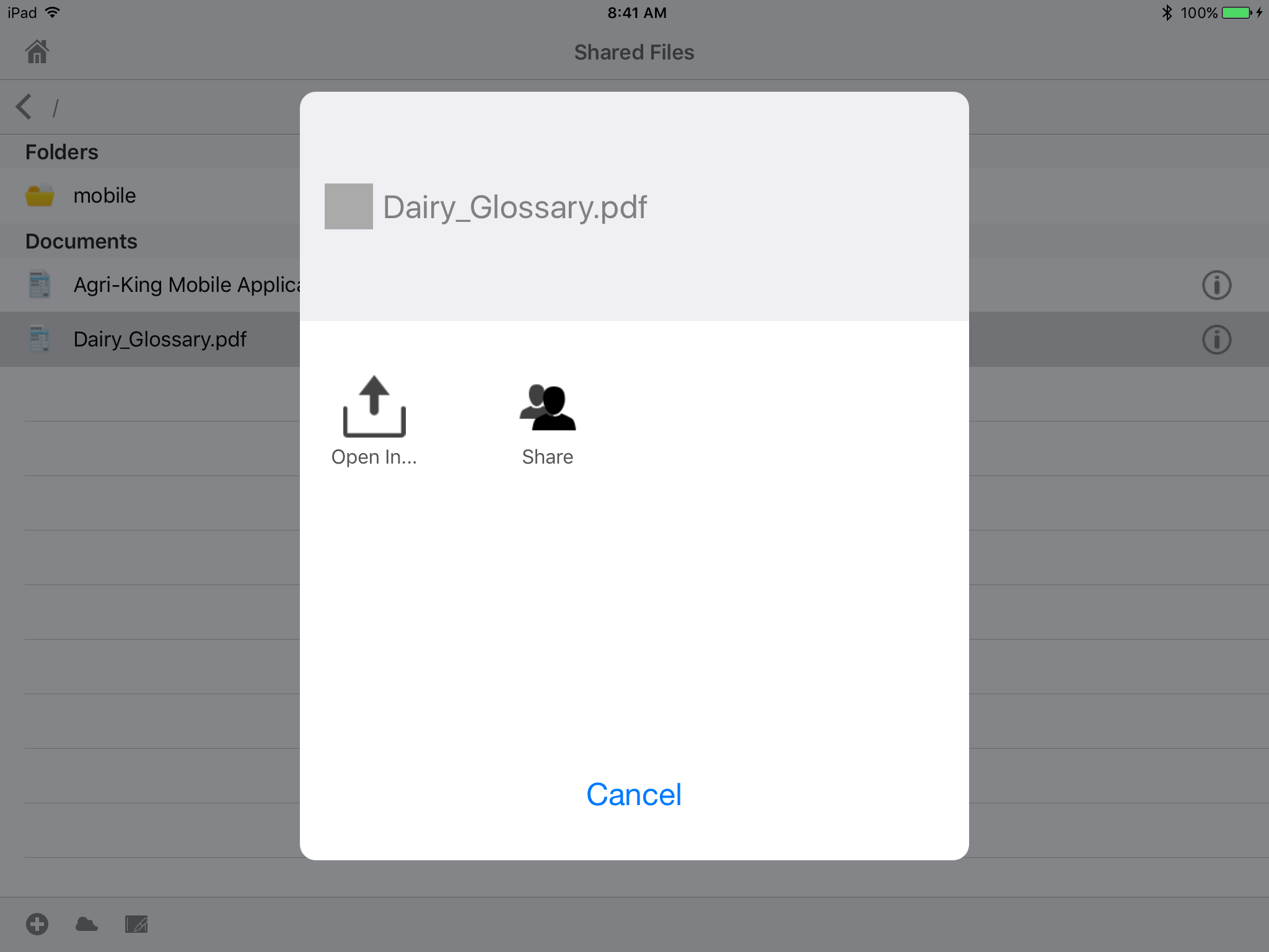 Document View 'Open In' / 'Share' menu...